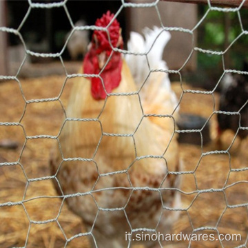 Vendite dirette di fabbrica Fence a gabbia per animali a rete esagonale